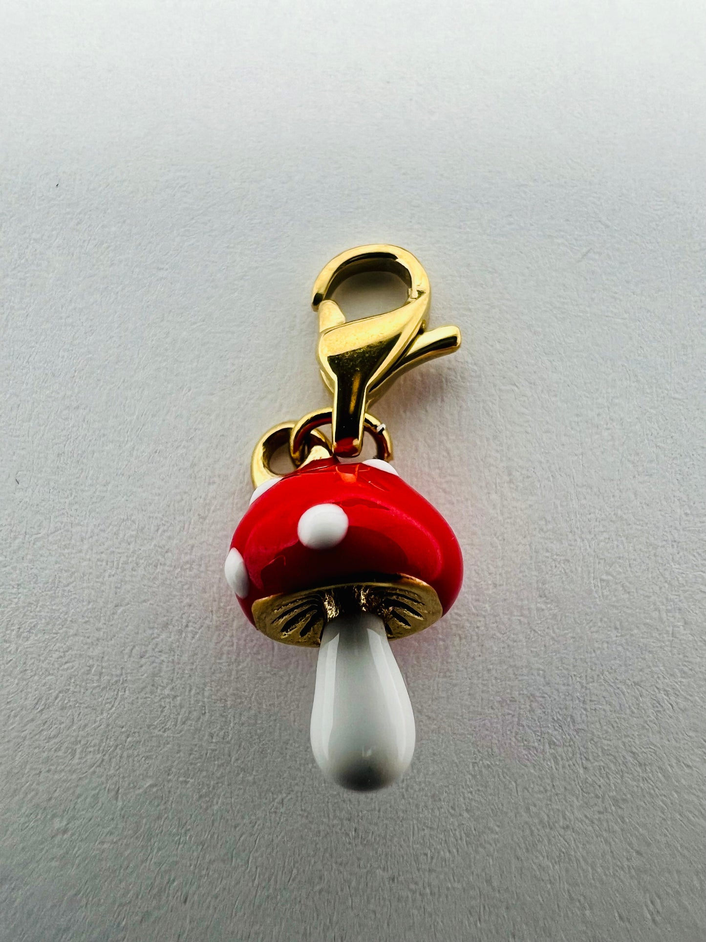 CHARM CHAMPIGNON