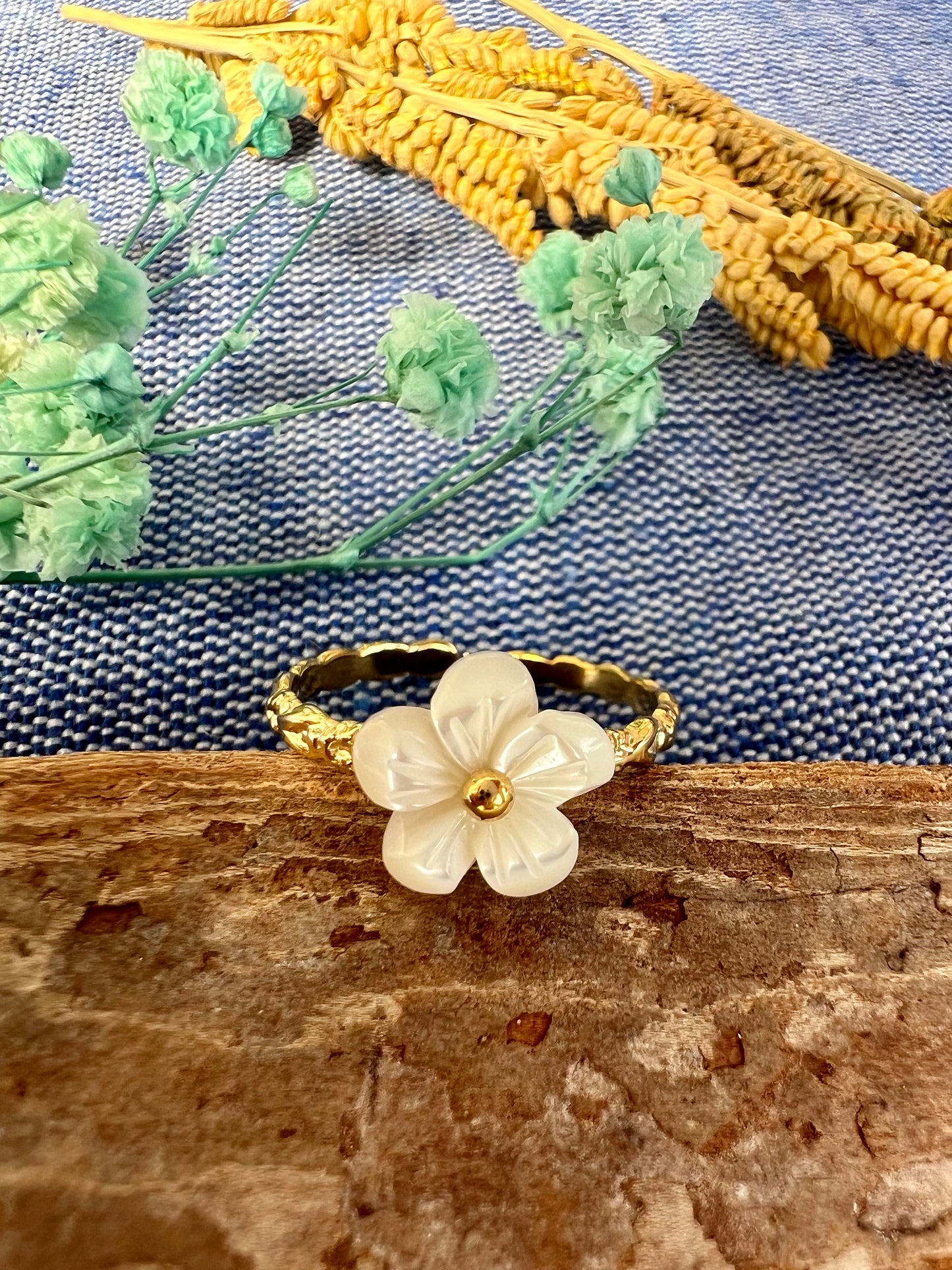 MOANA - Aylanis