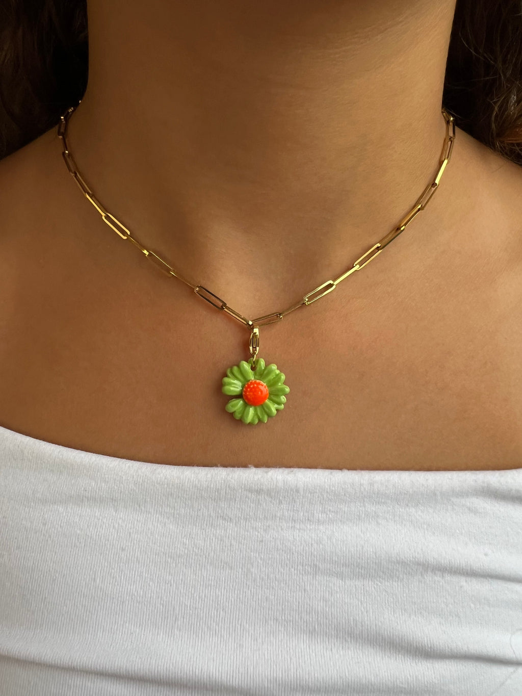 CHARM'S FLEUR AYLANIS